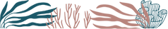 separateur-section