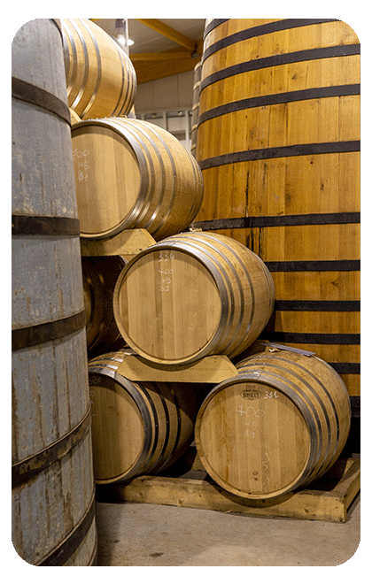 Vignerons d'Oléron