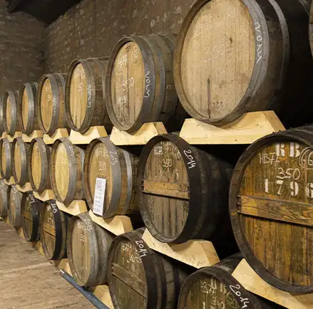 Chai vignerons d'Oléron