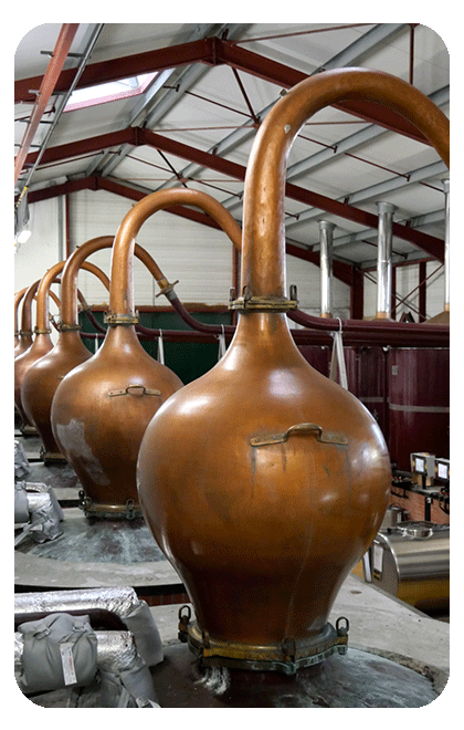 Vignerons d'Oléron