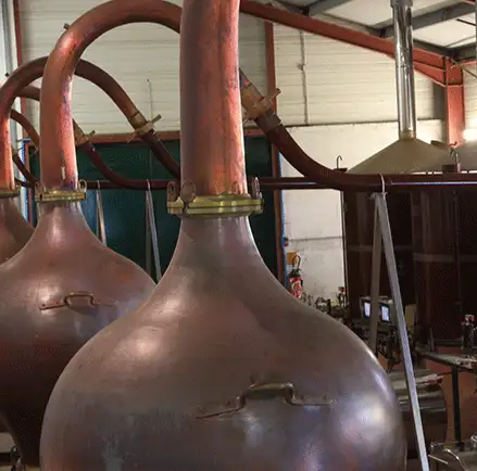 Distillerie Vignerons d'Oléron