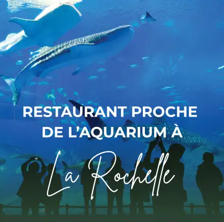 Restaurant à côté Aquarium La Rochelle : découvrez le Gaée, une adresse incontournable