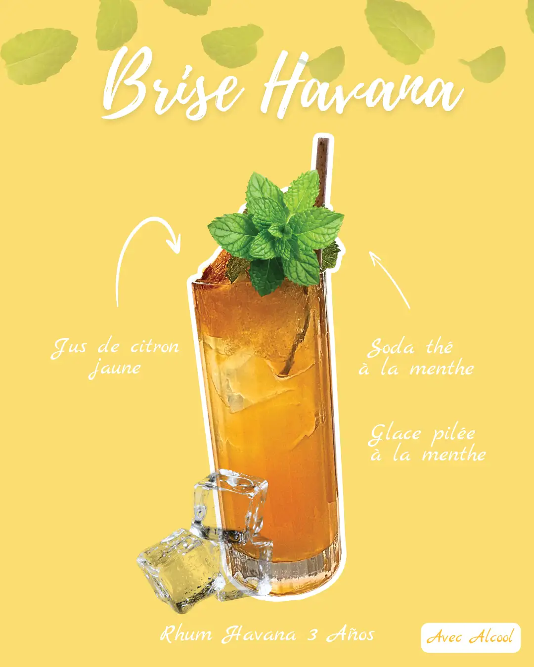 Cocktails Brise Havana