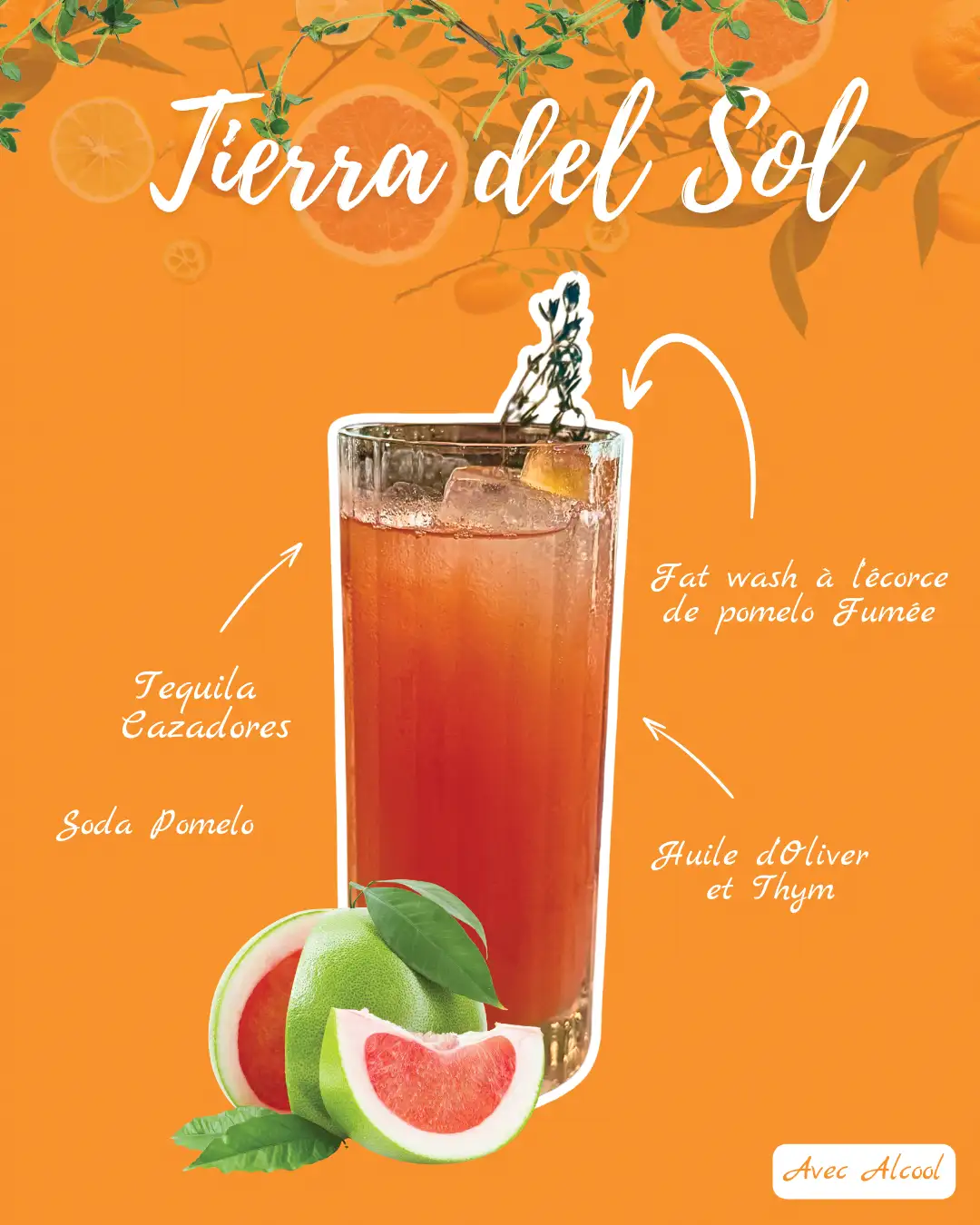 Cocktail Tierra del sol Bar du Gaée