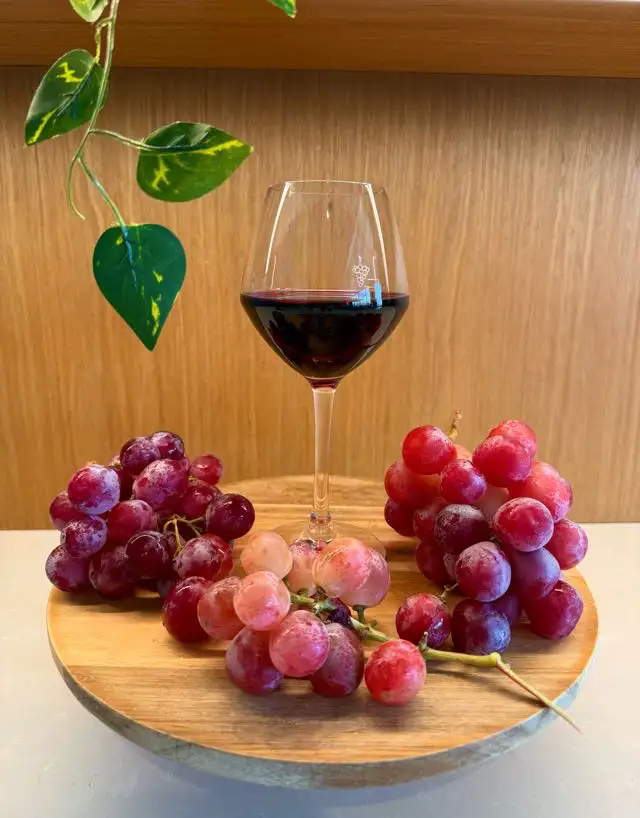 Beaujolais Nouveau à La rochelle le Gamay le bistrotteur