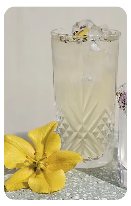 Cocktail Eden